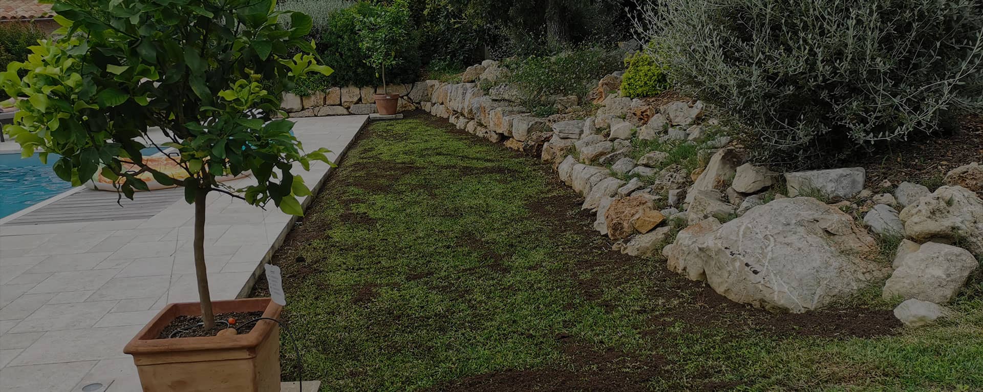entretien de jardin près de Nice